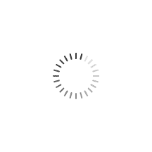 loading..